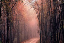 熊猫体育官方：为什么和库里哈登同龄，威少下滑速度这么快？.