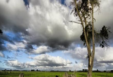 就在今天，广东男篮大胜四川进入附加赛，赛后杜锋收获三个好消息.