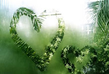 就在今天，广东男篮大胜四川进入附加赛，赛后杜锋收获三个好消息.